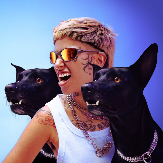 3 CABEÇAS cover art