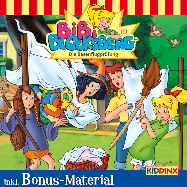 Cover: Die Besenflugprüfung