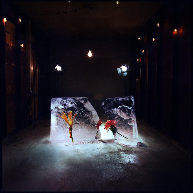 Trivial Motion cover art