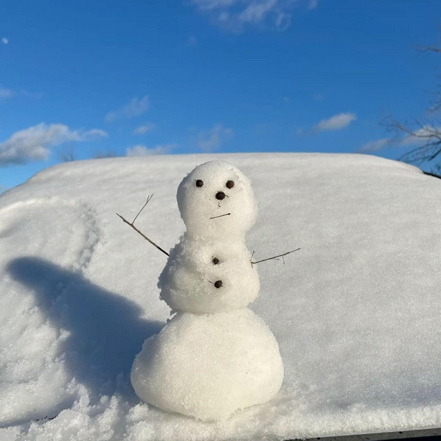 Snow Days