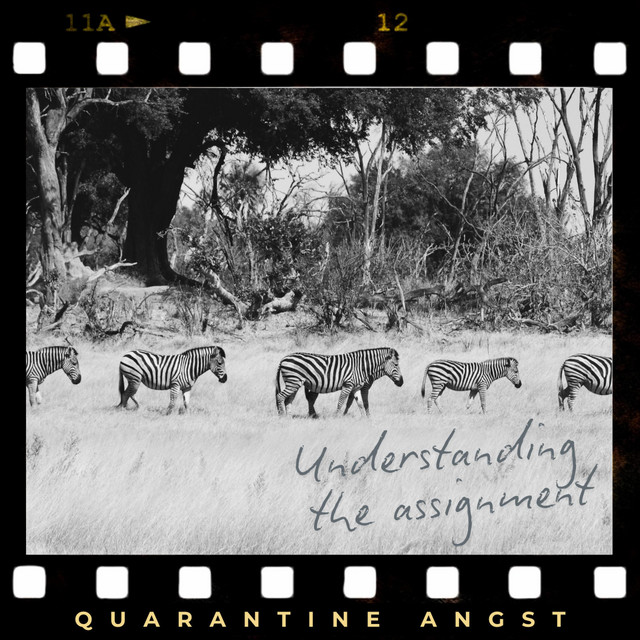 Understanding the Assignment (single)