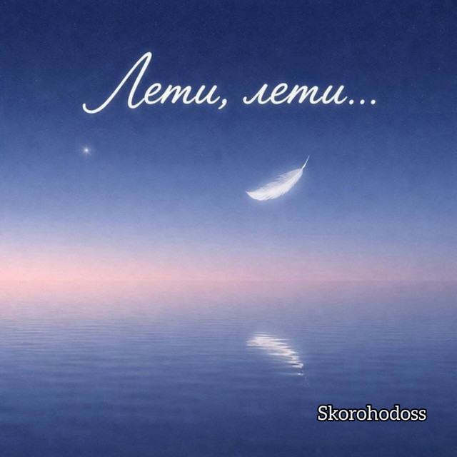Обкладинка: Лети, лети... — Skorohodoss
