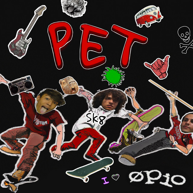 PET cover art