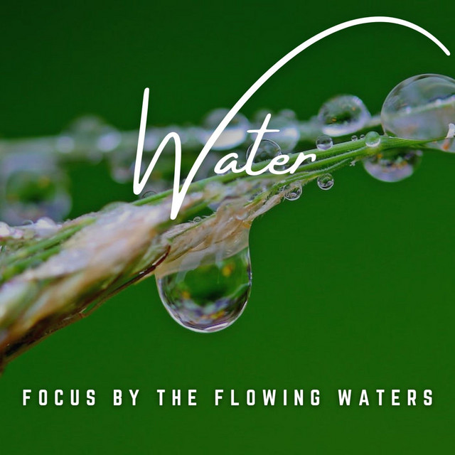 Liquid Zen: Guided Focus and Concentration by the Water - Album by ...