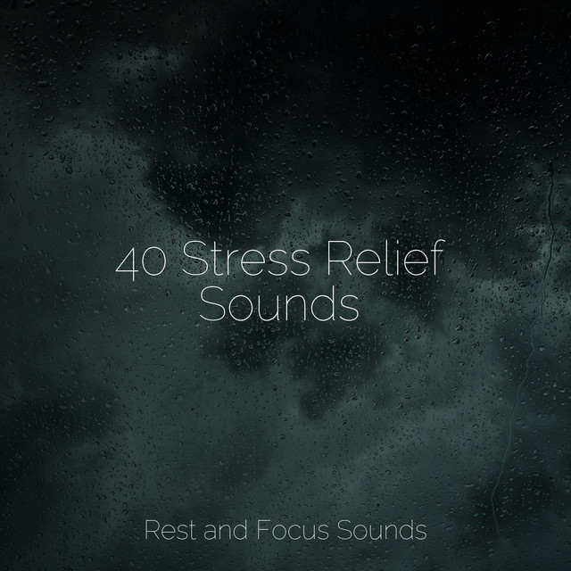 40 Stress Relief Sounds - Album by The White Noise Zen & Meditation ...