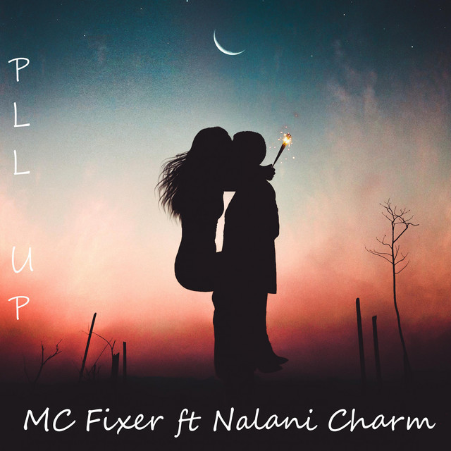 Pull Up cover art