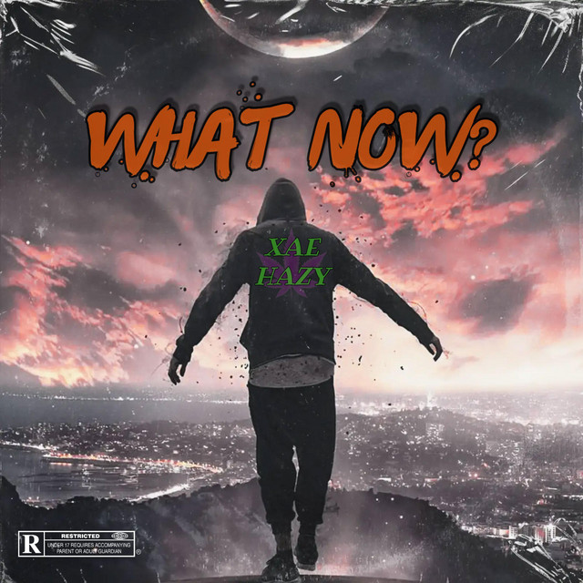 What Now? cover art