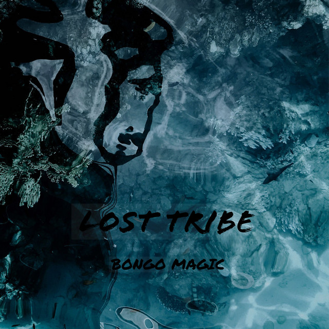 Lost Tribe – Single de Bongo Magic | Spotify