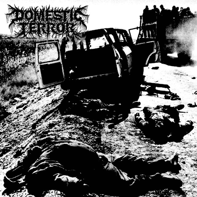 Domestic Terror cover art