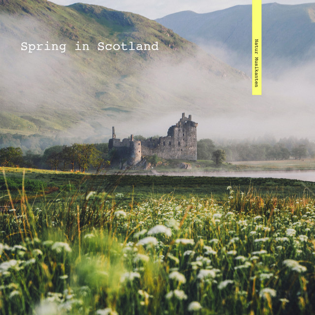 Cover of Spring in Scotland by Mussina