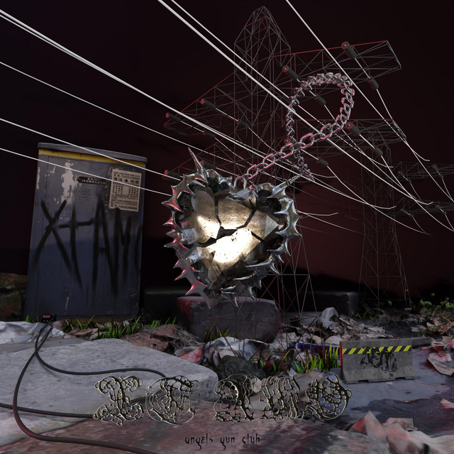 Album art for XT AMO