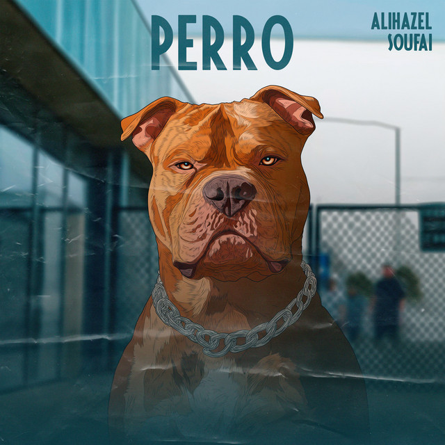 Perro