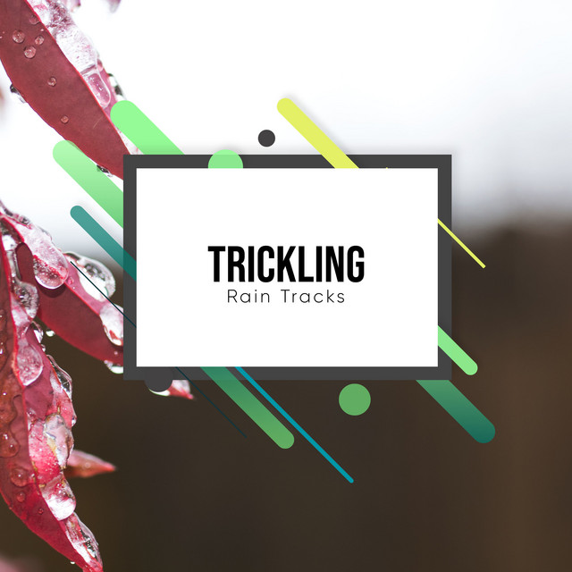 #20 Trickling Rain Tracks cover art