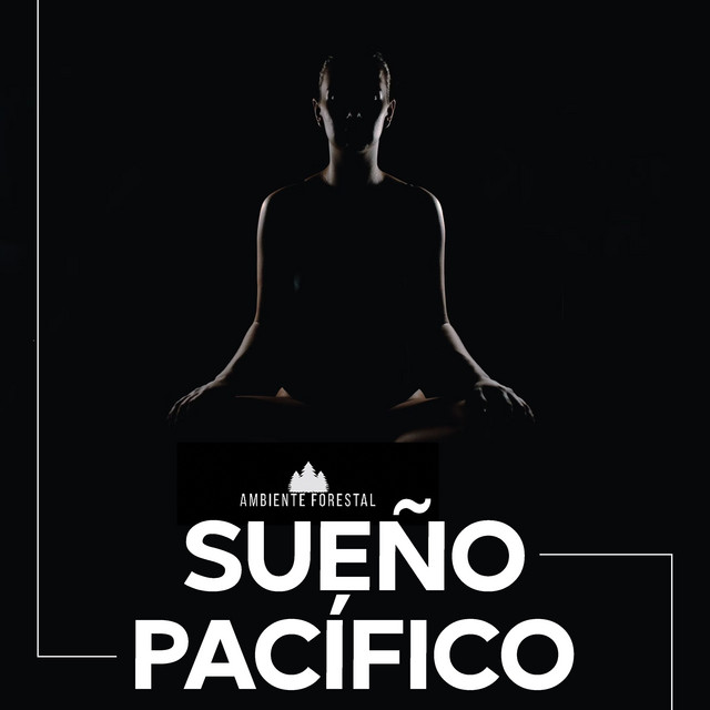 Sueño pacífico cover art