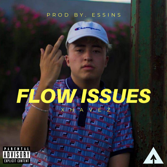 Flow Issues cover art