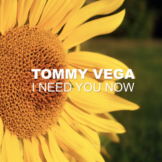 I Need You Now - Single by Tommy Vega | Spotify