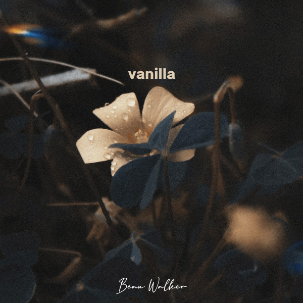 vanilla cover art