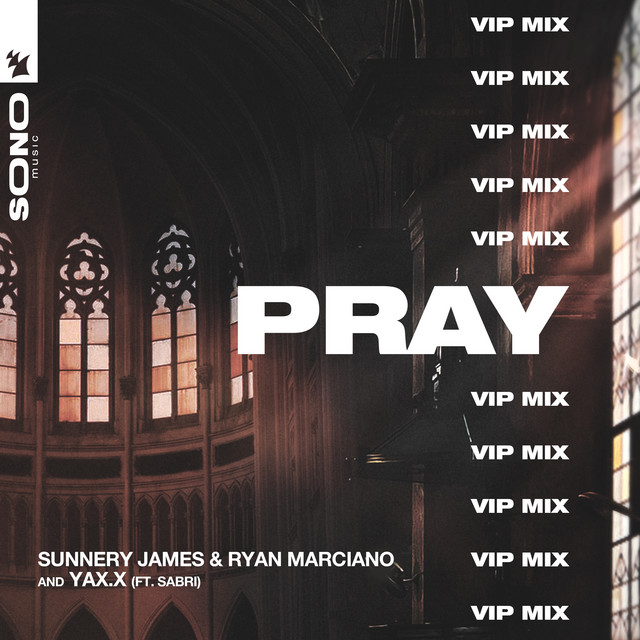 PRAY - VIP Mix cover art