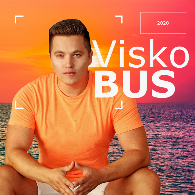 Visko Bus - Single by ZYGIS | Spotify
