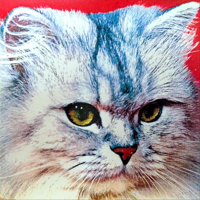 Blitzzega cover art