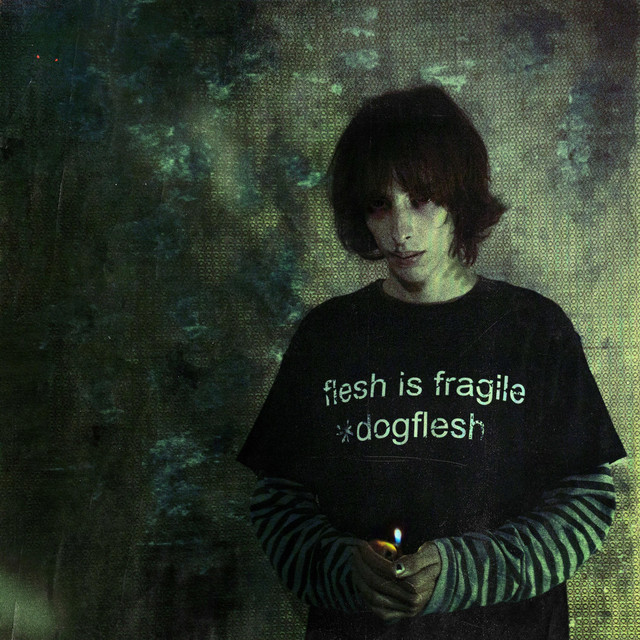 Flesh Is Fragile cover art