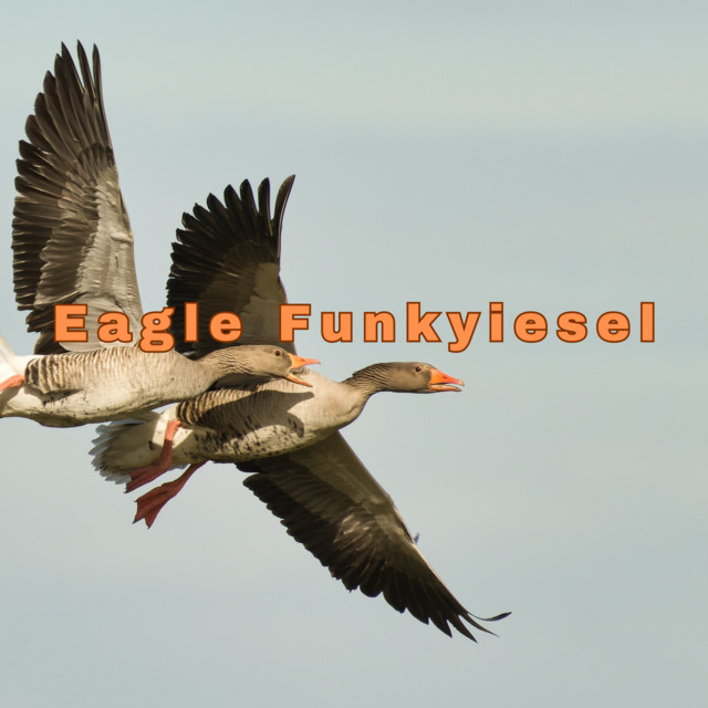 Eagle Funkyiesel | Spotify
