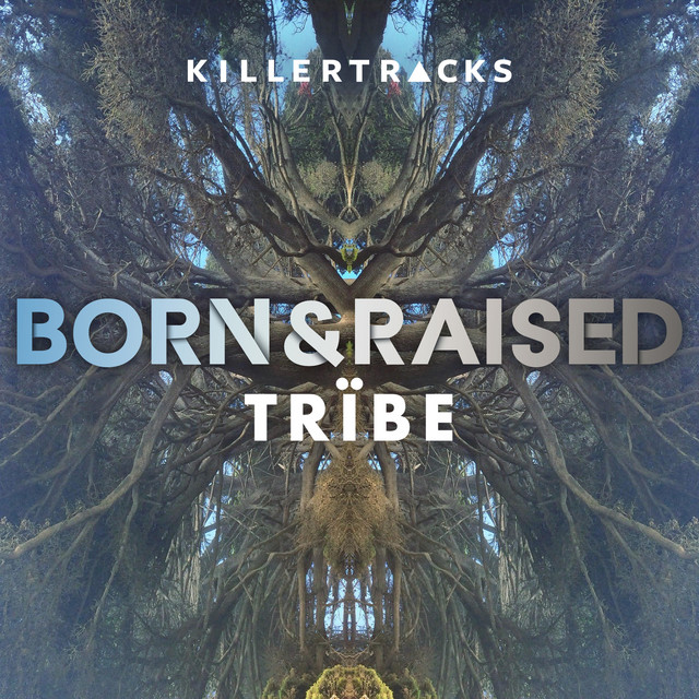 Born & Raised cover art