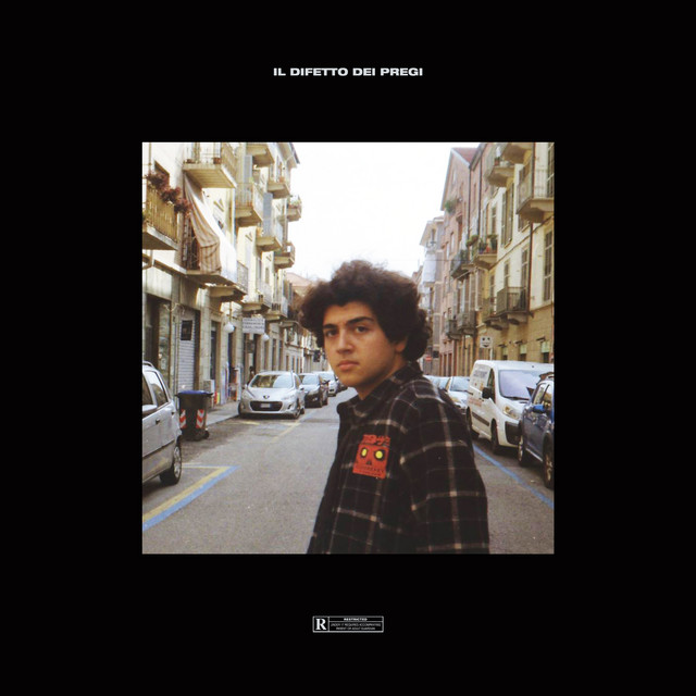 Il difetto dei pregi cover art