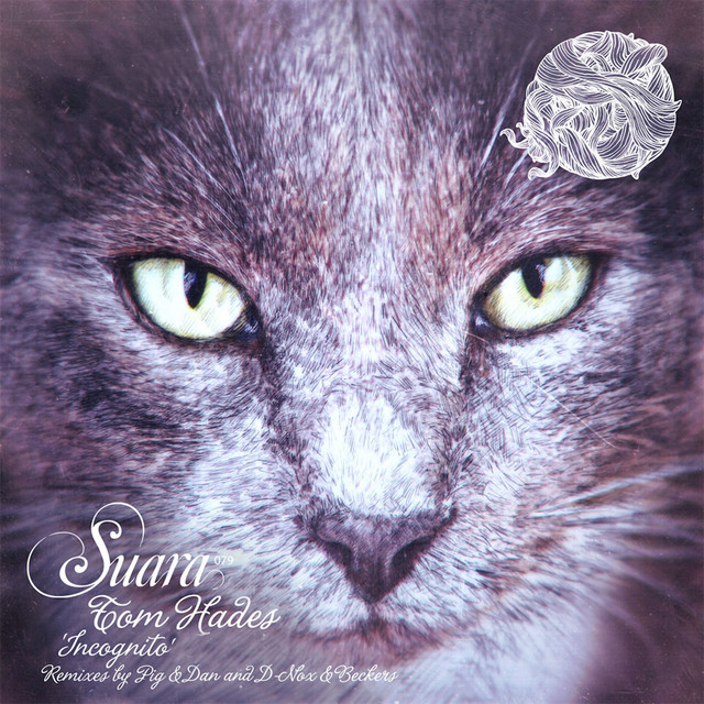 Shap Shoy - D-Nox & Beckers Remix album art