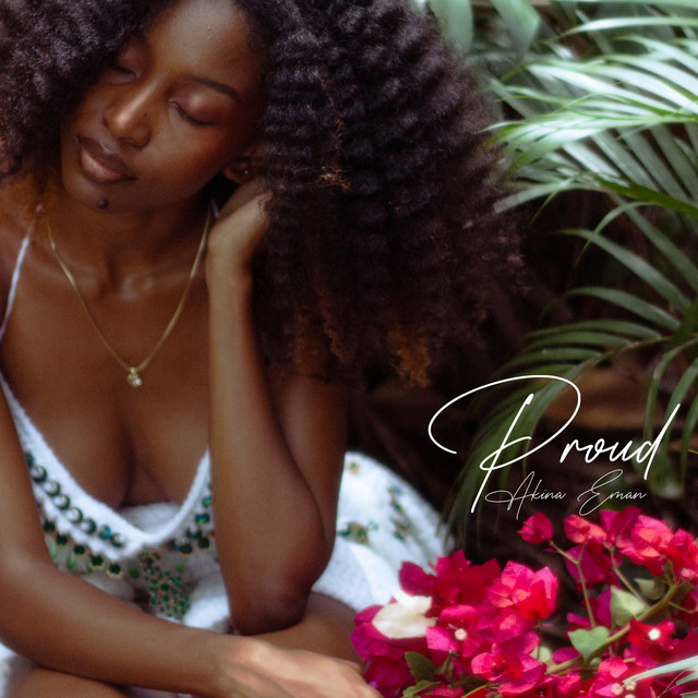 Proud album image
