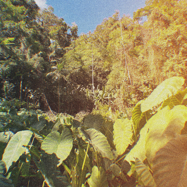 Dew Drops cover art