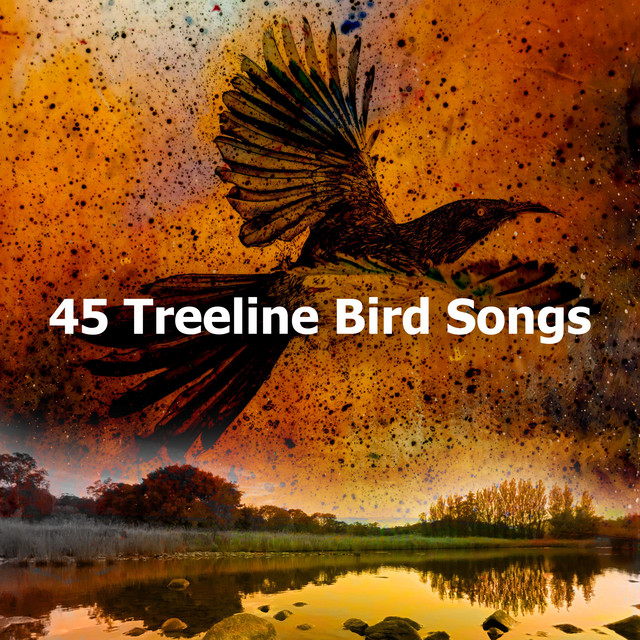 Chirping Birdlife - song and lyrics by Calm Bird Sounds | Spotify