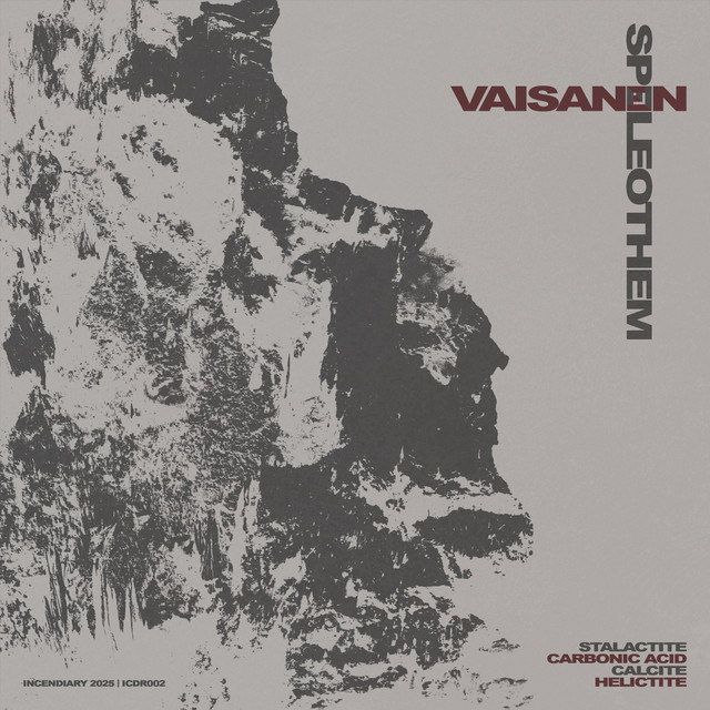 Vaisanen