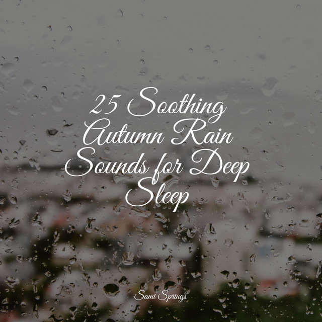 25 Soothing Autumn Rain Sounds for Deep Sleep cover art