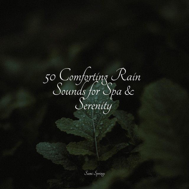50 Comforting Rain Sounds for Spa & Serenity - Album by Música de la ...