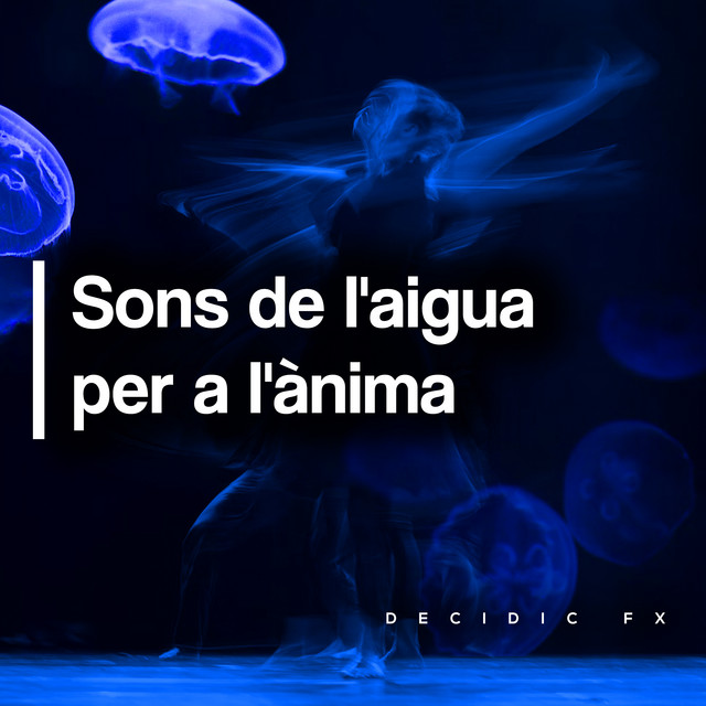 Sons de l'aigua per a l'ànima cover art