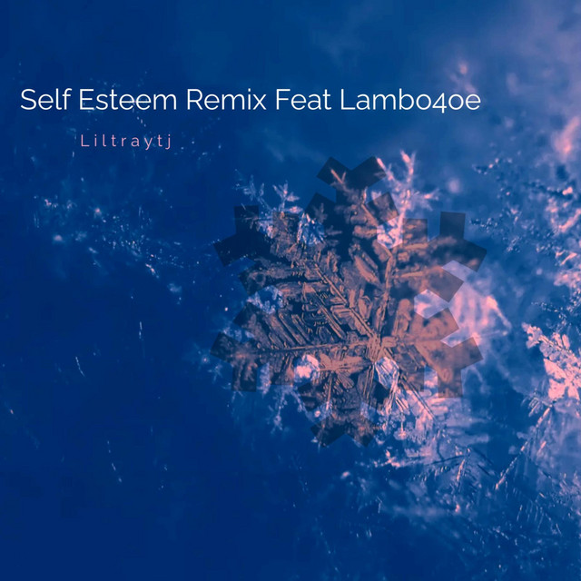 Self Esteem - Tjmix - song and lyrics by Liltraytj, Lambo4oe | Spotify