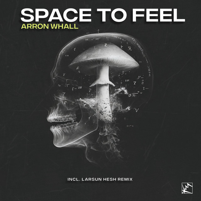 Обкладинка Larsun Hesh — Space to Feel