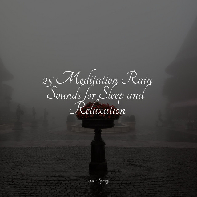25 Meditation Rain Sounds for Sleep and Relaxation - Album by Sampling ...
