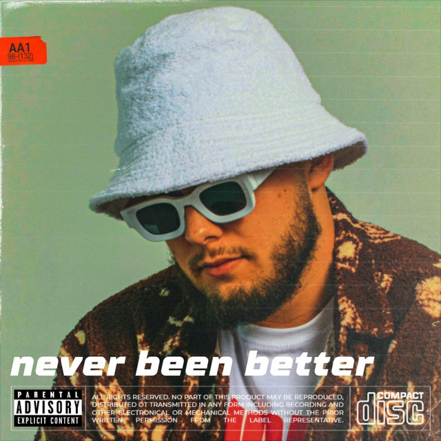 never been better cover art
