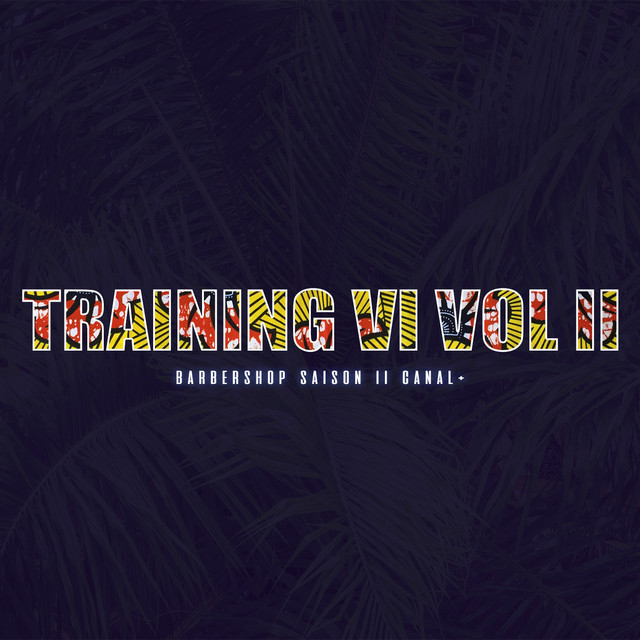 TRAINING VI VOL II (CANAL+ EDITION) cover art