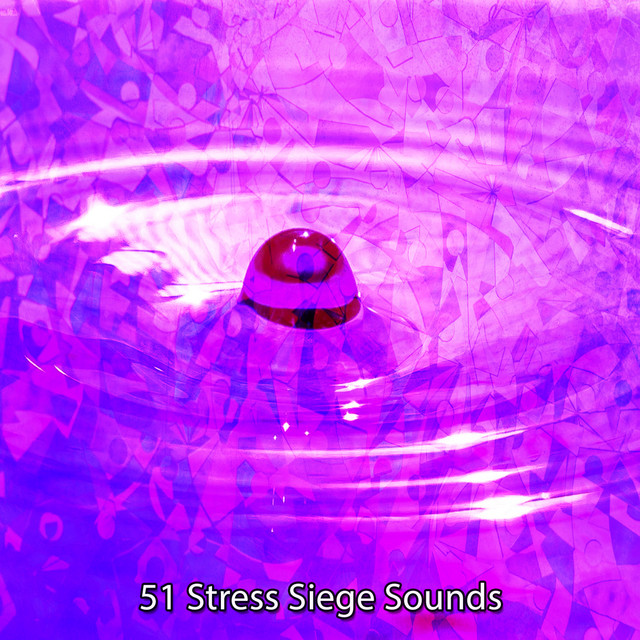 51 Stress Siege Sounds cover art