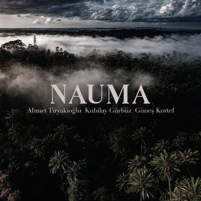 Nauma artwork