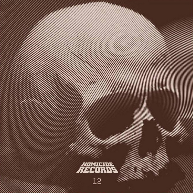 Homicide Record 12 cover art