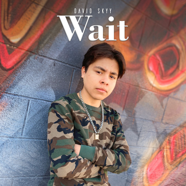 Wait cover art