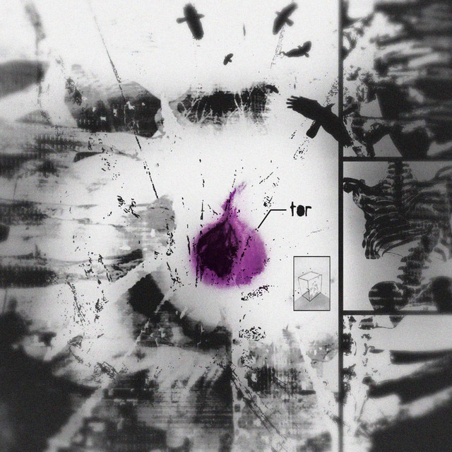tor cover art