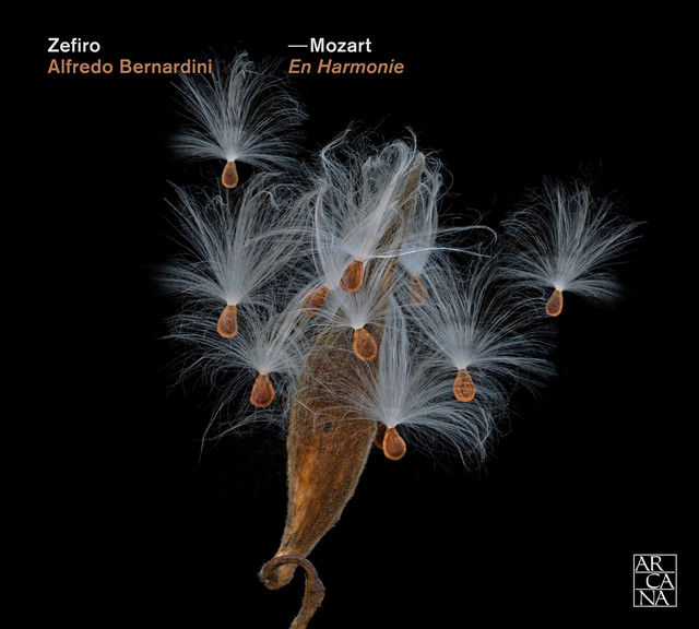 Mozart: En Harmonie (Arr. A. Bernadini)