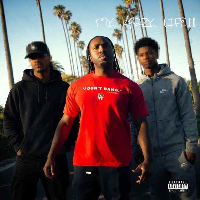 MY KRAZY LIFE 2 cover art