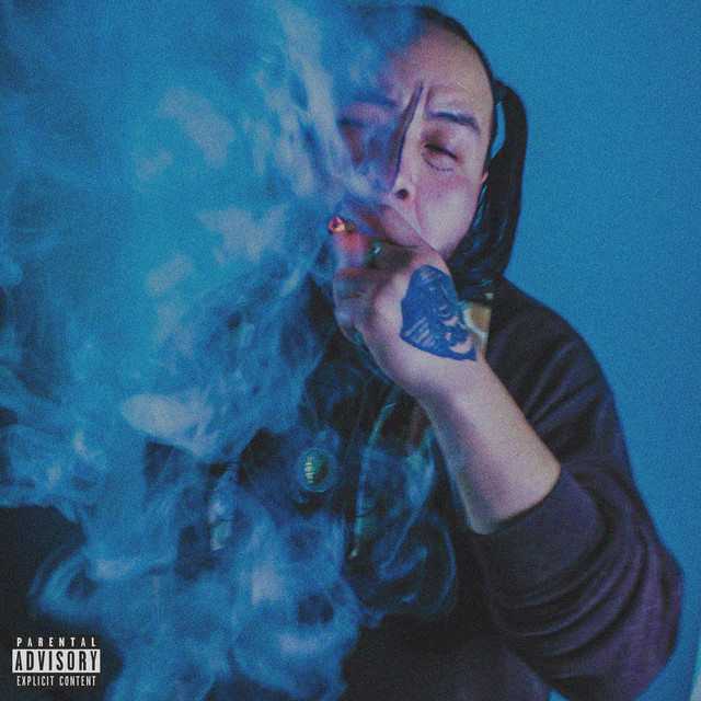 Danople cover art