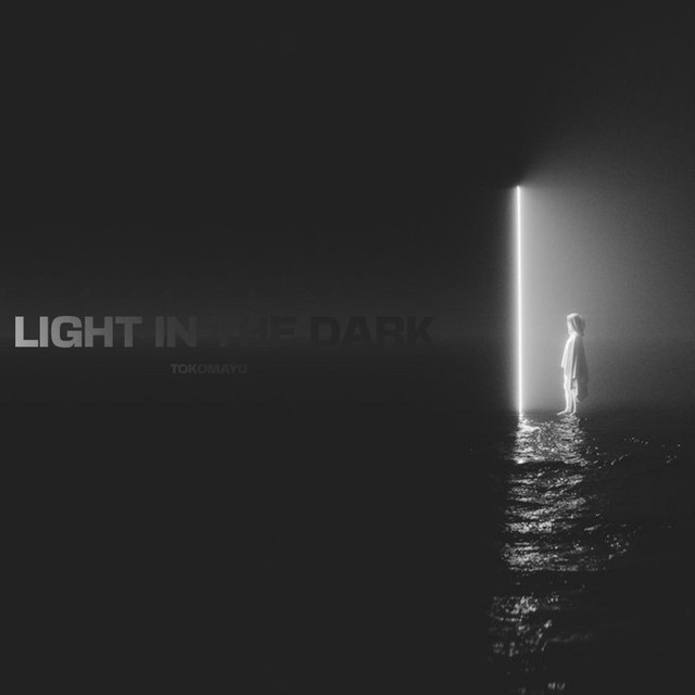 Light In The Dark (Radio Edit)